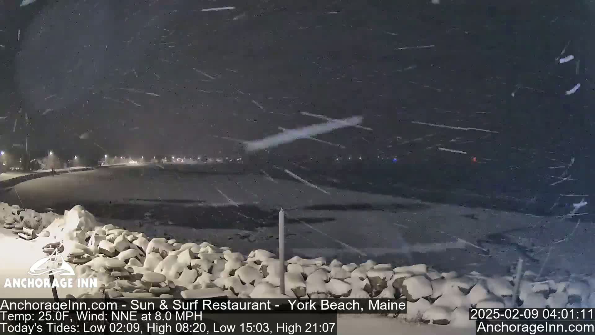 A snow-covered shoreline at night with heavy snowfall.