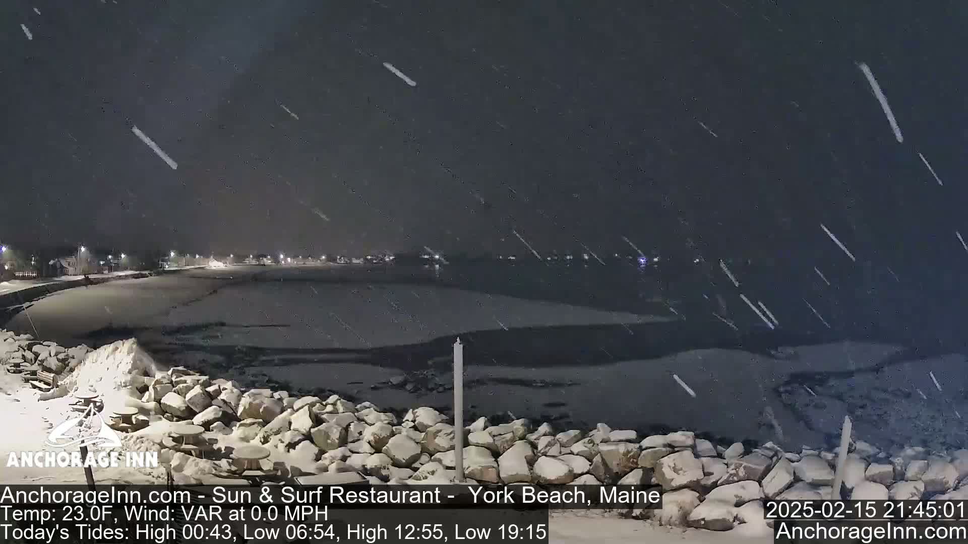 A snow-covered rocky shoreline at night, with snow falling heavily over a dark body of water and a dimly lit town in the distance.