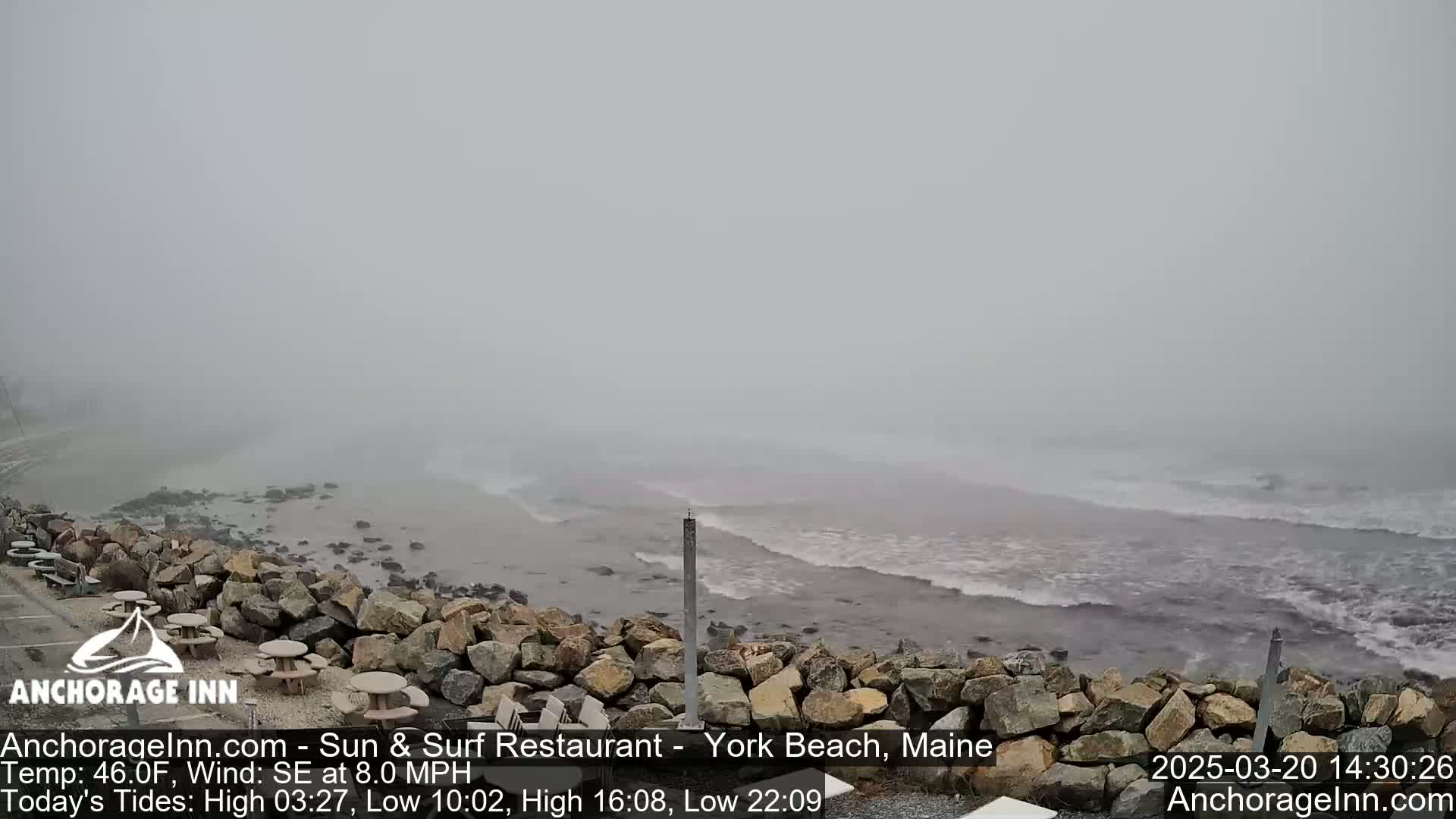 A foggy seaside scene shows a rocky shoreline with crashing waves under a gray sky.