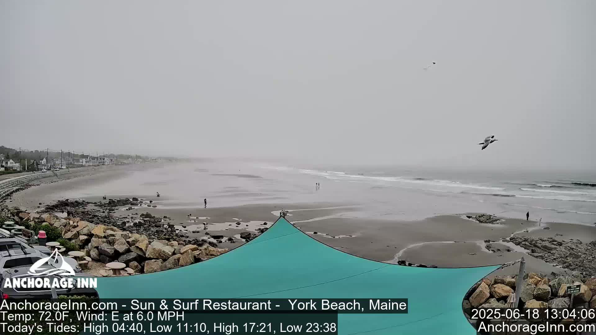 A mostly overcast beach scene shows a sandy shore with rocks, small waves, a few people, and birds flying overhead.