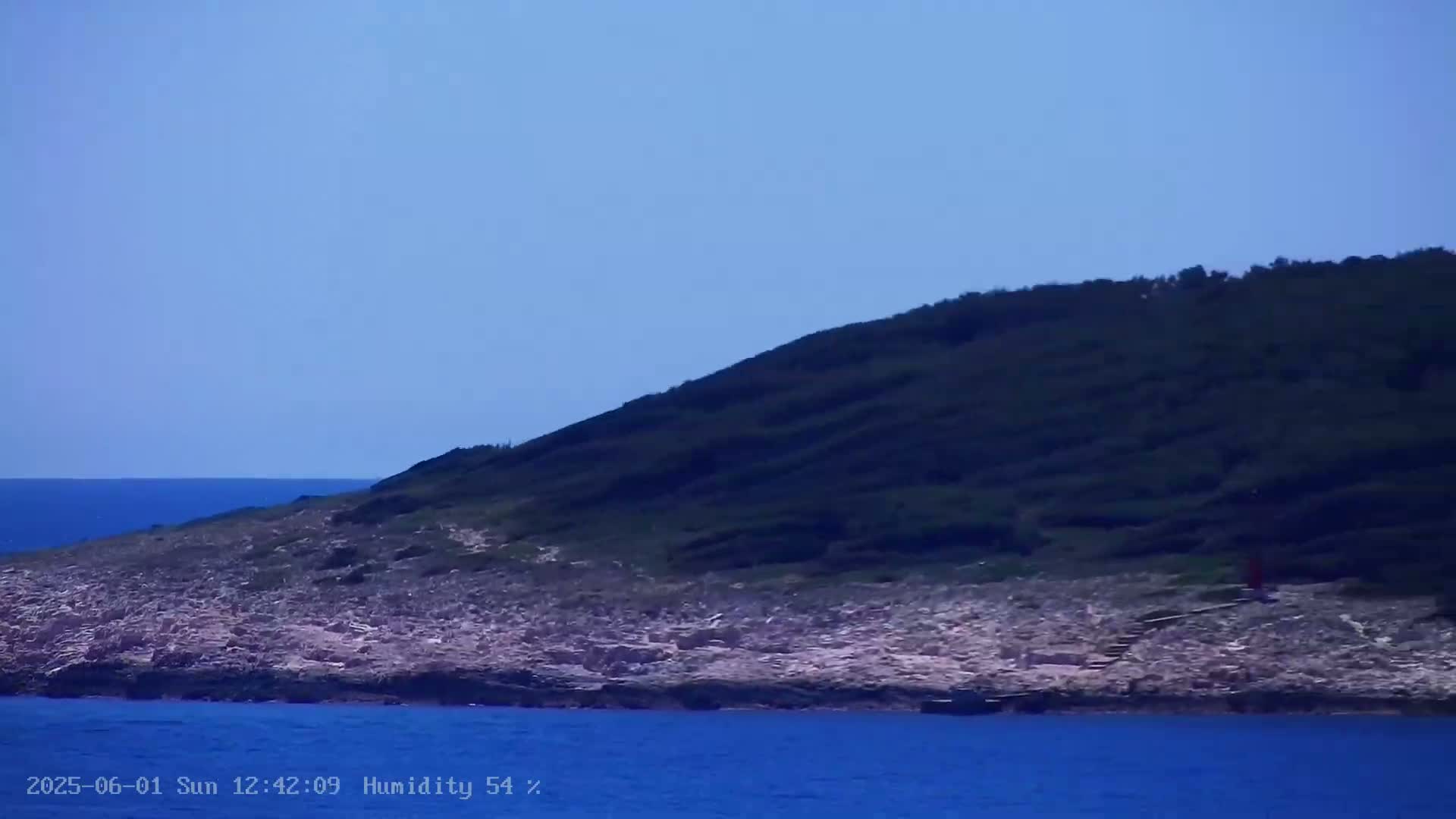 A rocky shoreline with low-lying vegetation rises to a verdant hill overlooking a calm blue sea under a clear sky.