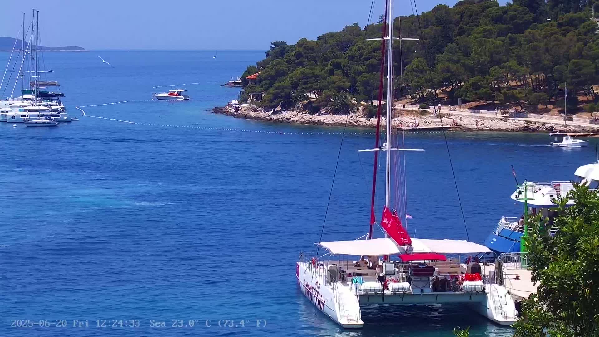A large catamaran is docked near a small, wooded island on a sunny day with calm, blue water.