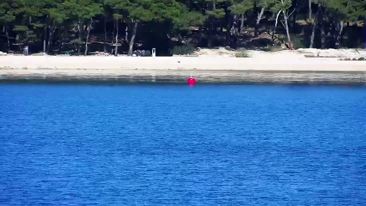 A red buoy floats in calm blue water in front of a sandy beach backed by a line of dark green trees.