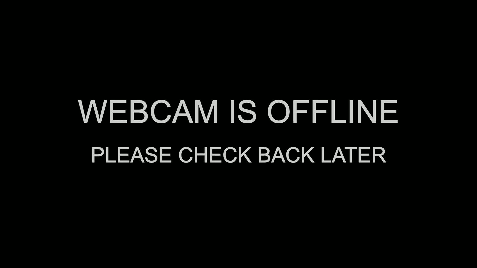 A black screen displays the message "WEBCAM IS OFFLINE  PLEASE CHECK BACK LATER" in light gray text.