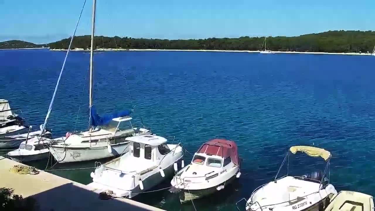 Several small boats are moored at a dock on a calm, sunny day, with a larger sailboat and a forested island visible in the background.