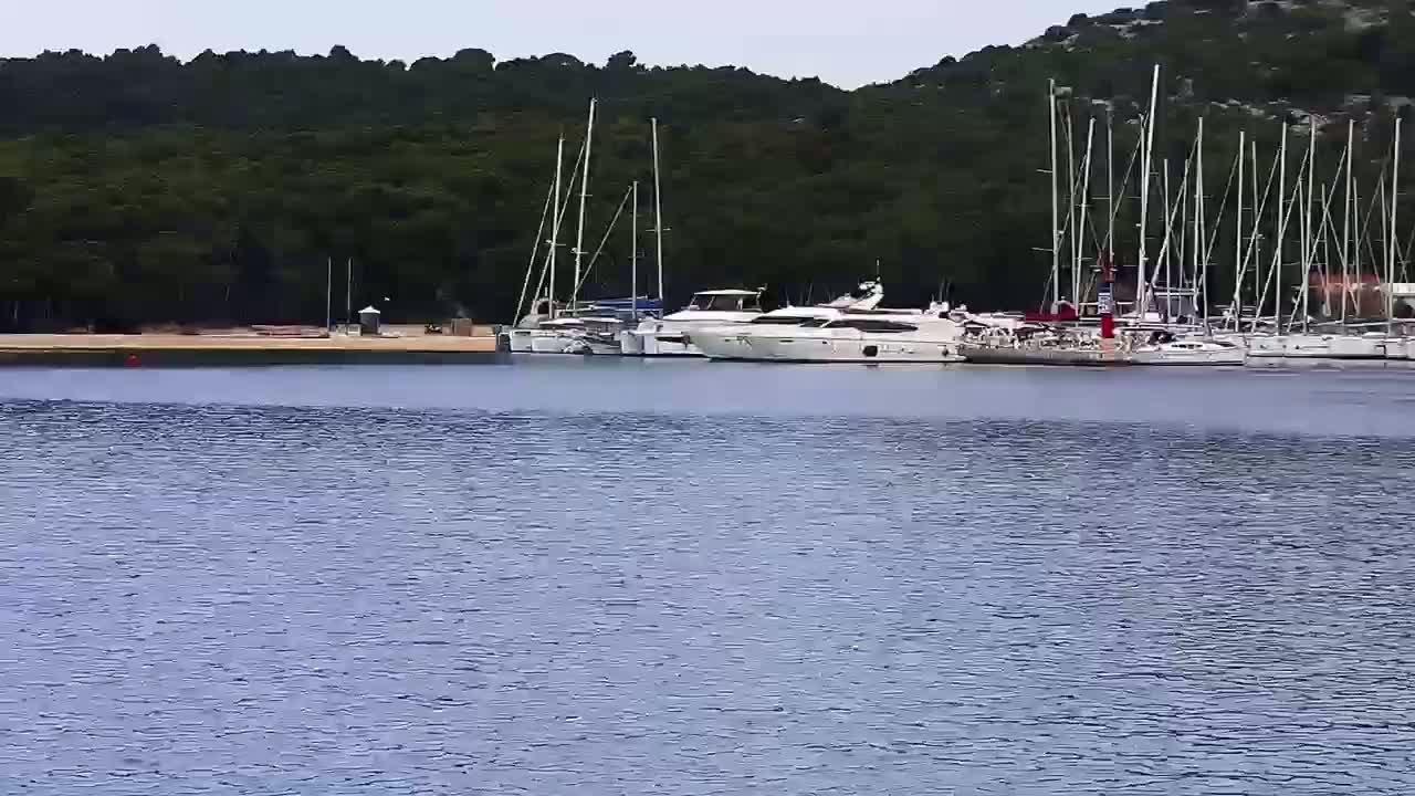 Several yachts and sailboats are docked in calm water near a wooded shoreline.