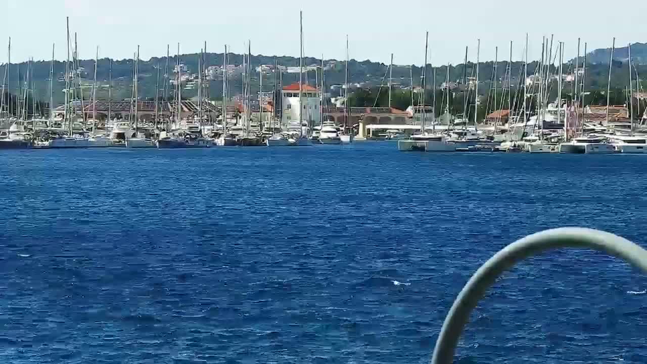 Many sailboats are docked in a marina on a sunny day with calm, blue water.