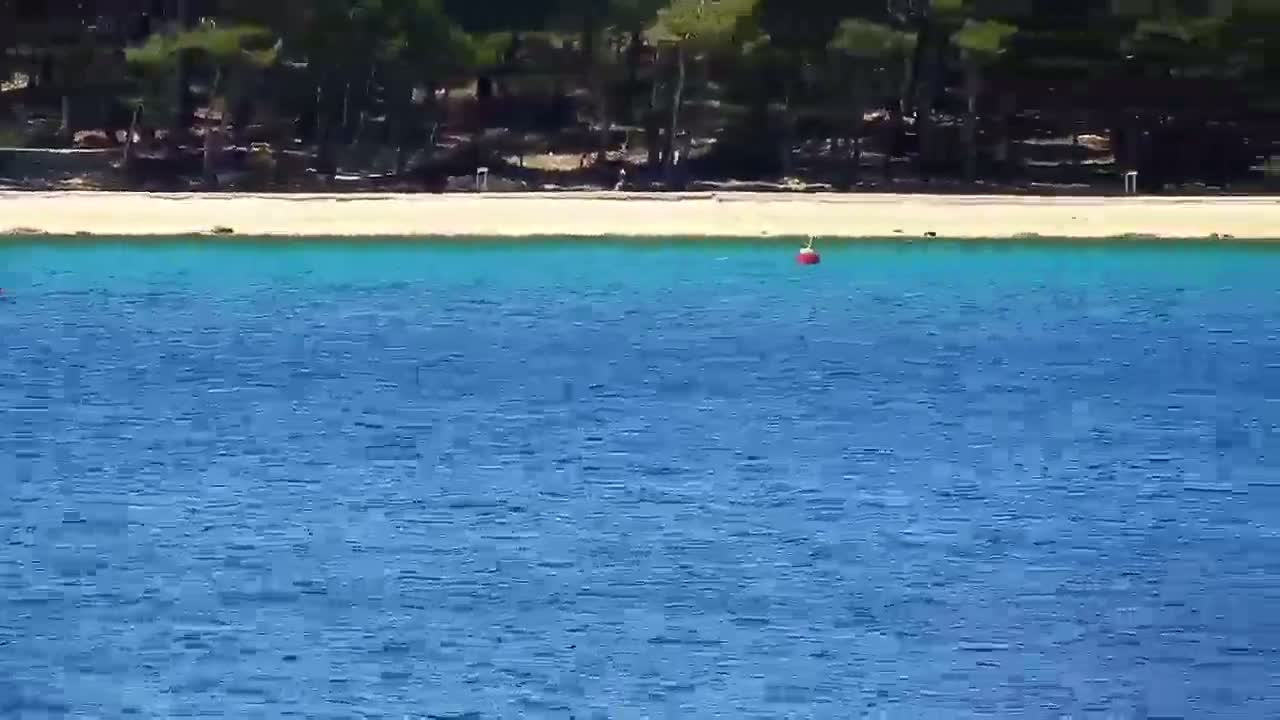 A sandy beach backed by dark green trees borders a calm, blue body of water with a single red buoy visible near the shore.