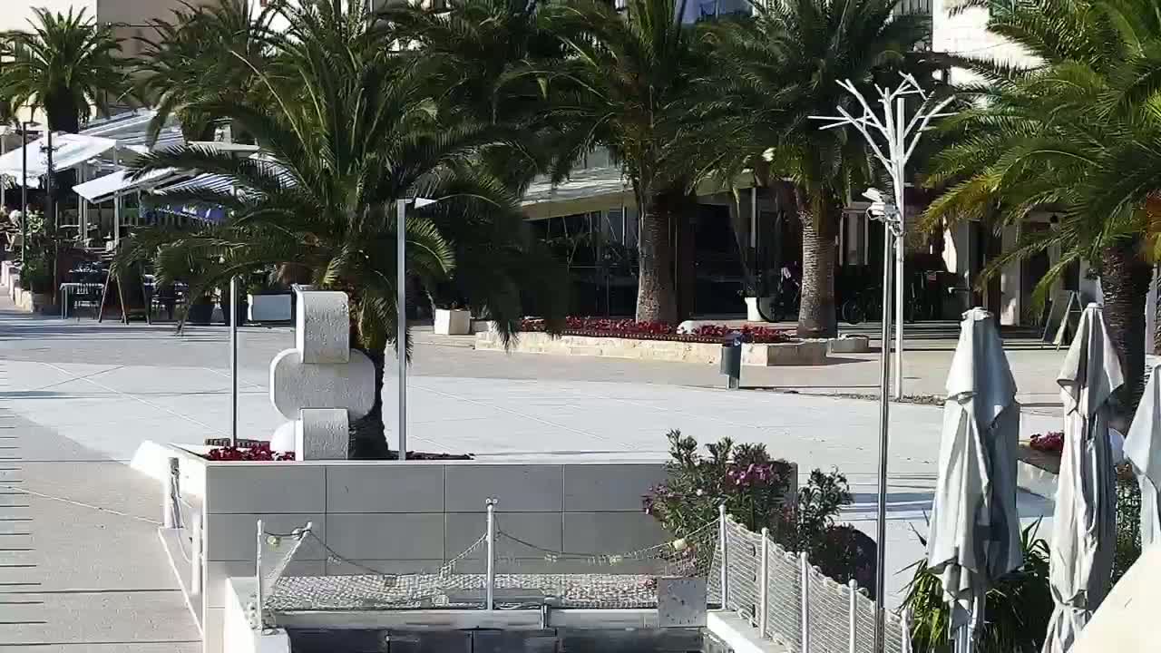 A sunny outdoor plaza scene features palm trees, outdoor seating areas, and a white, abstract sculpture.