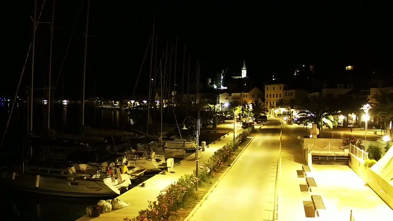 A nighttime view of a marina with sailboats docked, a paved walkway lined with lights and palm trees leading to a town with illuminated buildings.