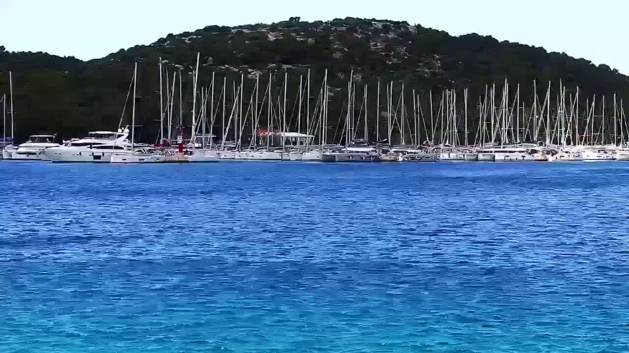 Many sailboats and yachts are moored in calm blue water near a verdant hillside.