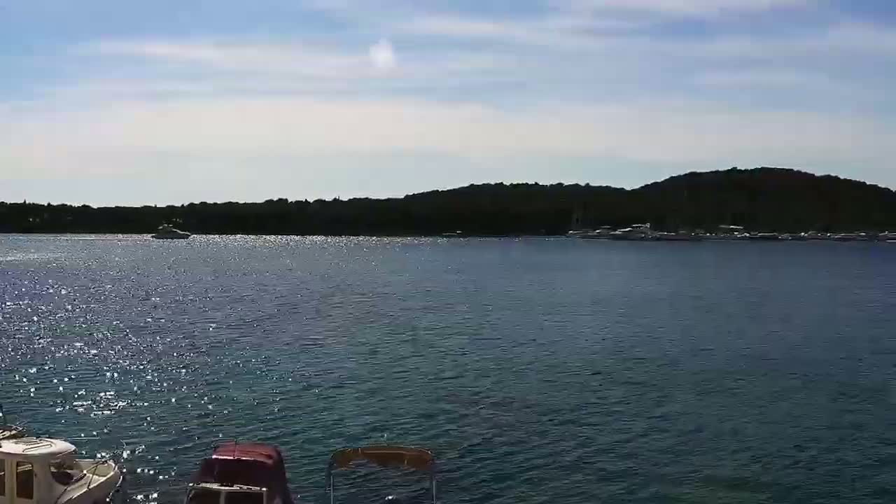 Sparkling water reflects the sunlight on a calm, sunny day, with a distant shoreline of dark green trees and a collection of boats visible in the distance and closer to the foreground.