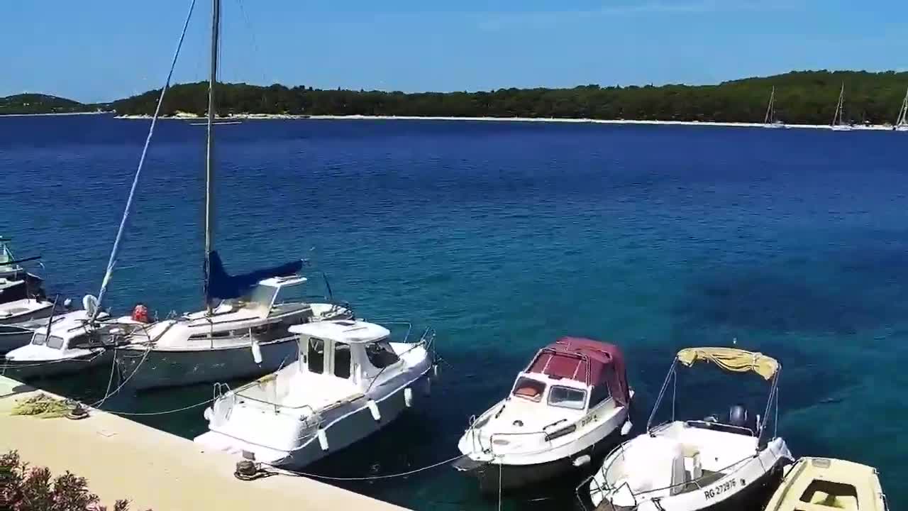 Several motorboats and a sailboat are moored at a dock on a sunny day with clear, blue water and a tree-lined shore in the background.