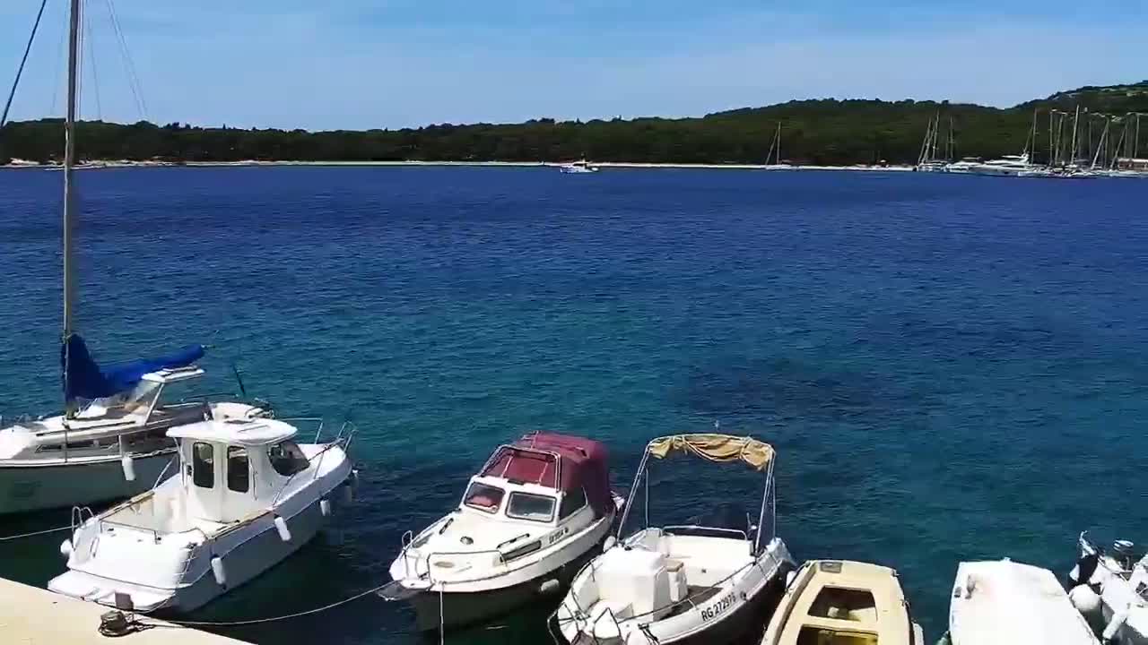 Several motorboats are moored in a calm, blue sea, with a wooded shore visible in the background under a sunny sky.