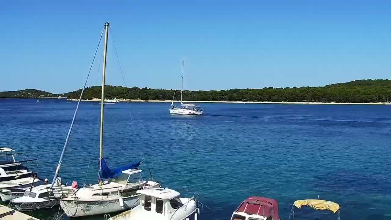 Several sailboats are docked near a shoreline with a wooded area under a clear blue sky.
