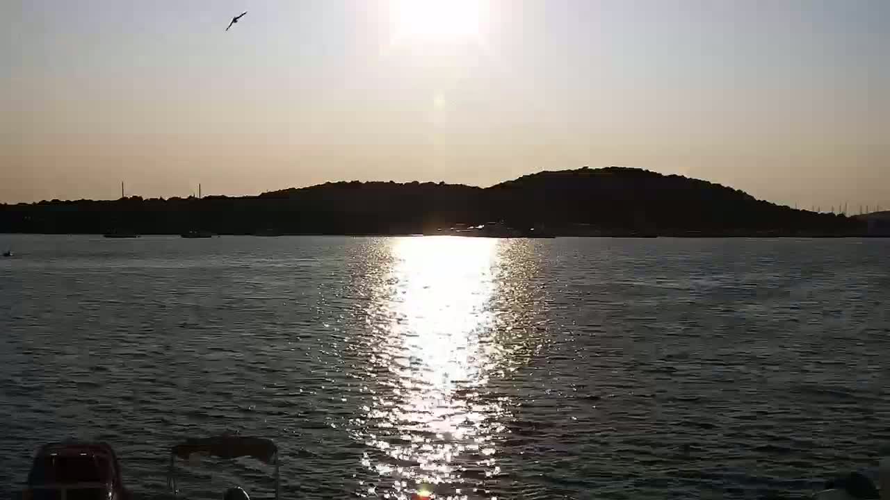 A bird flies over calm water reflecting the bright sun, with a dark, hilly shoreline in the background under a clear sky.