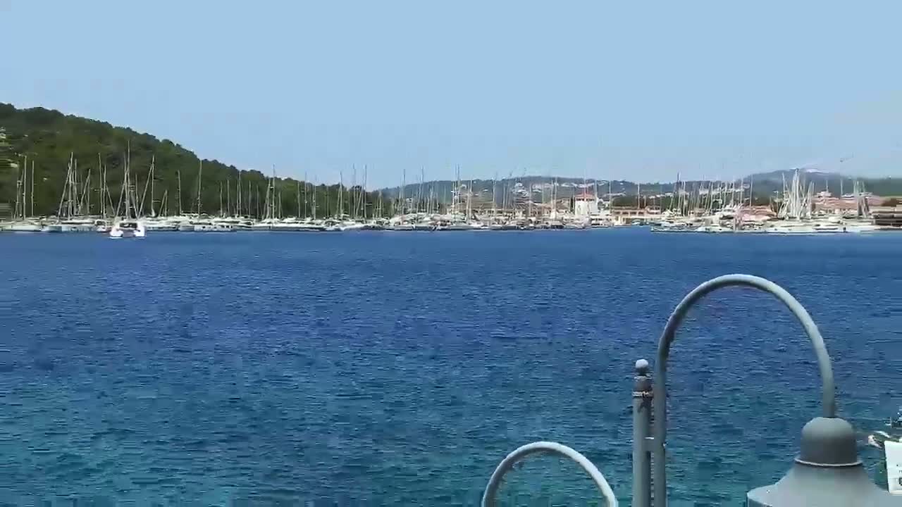 A calm, blue body of water with numerous sailboats docked in a harbor behind a lush, green hillside under a clear sky.