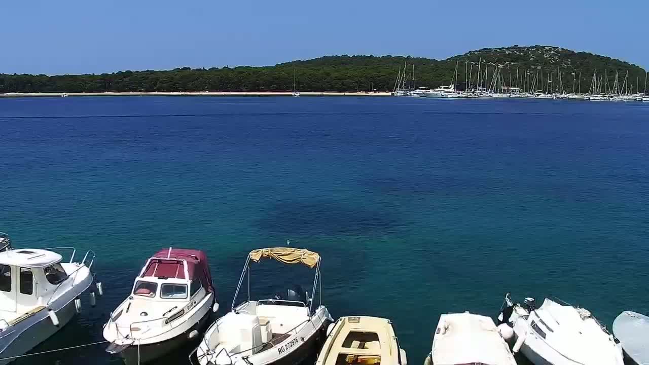Several small motorboats are moored in calm, clear blue water near a shoreline with a forested island in the background under a bright, sunny sky.