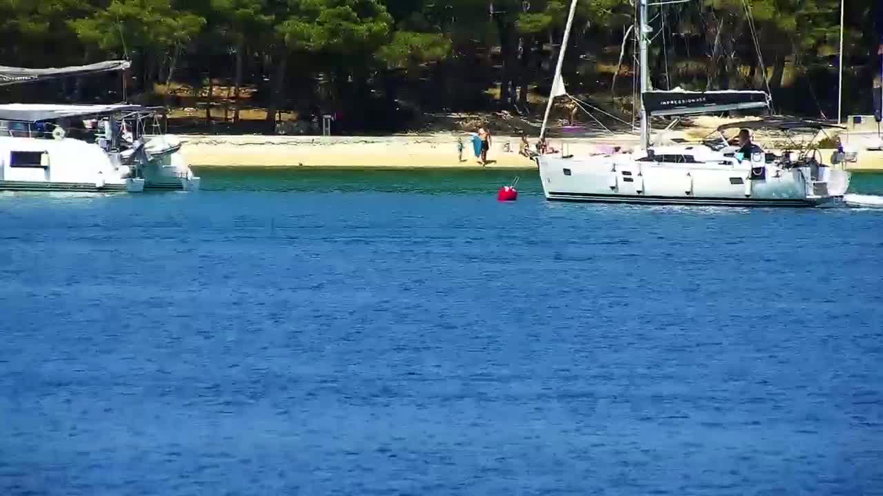 Two sailboats are anchored in calm blue water near a sandy beach backed by a pine forest.