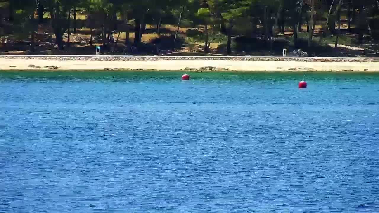 Two red buoys float in calm blue water in front of a sandy beach backed by a line of trees.