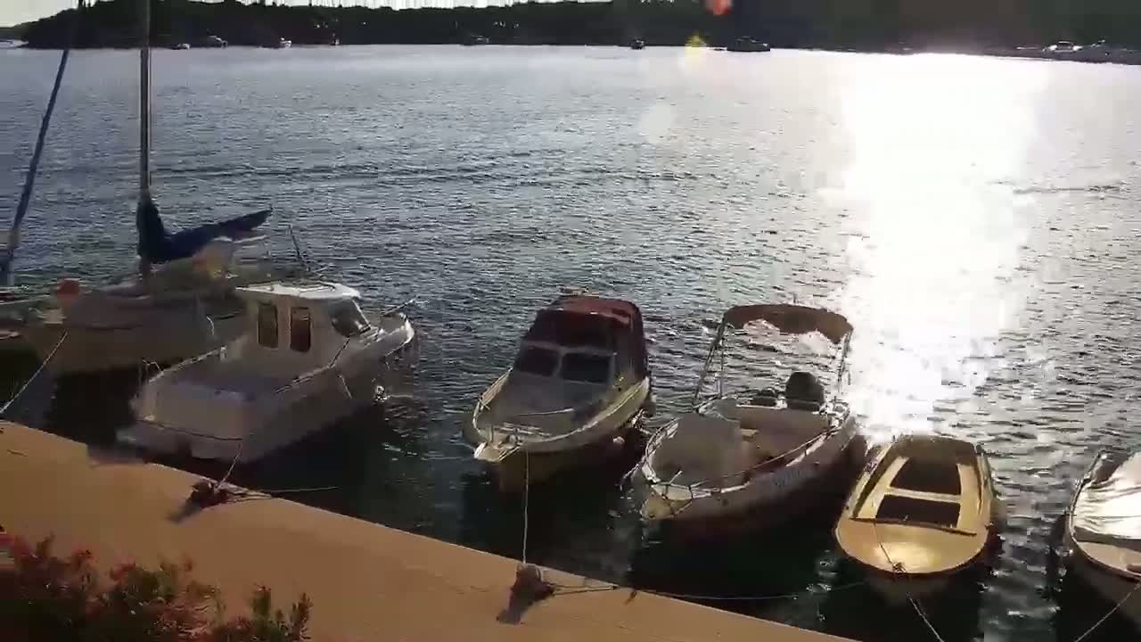 Several small motorboats are moored at a dock on calm water under a sunny sky.