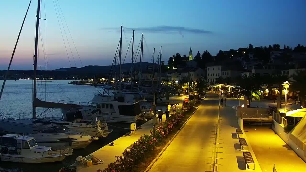 A waterfront town at twilight, with numerous sailboats docked alongside a paved walkway lined with palm trees and outdoor lighting.