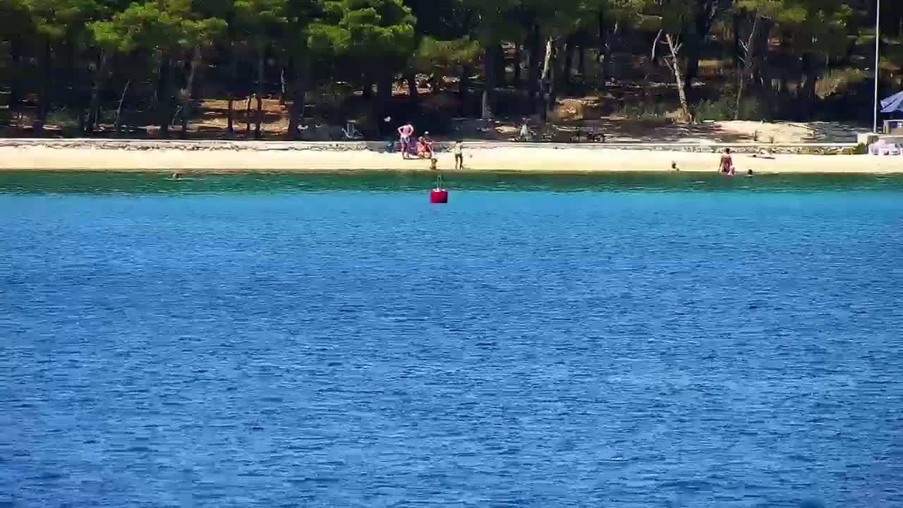 A sandy beach with several people on it is backed by a line of pine trees, all bordering a calm, blue body of water with a red buoy.