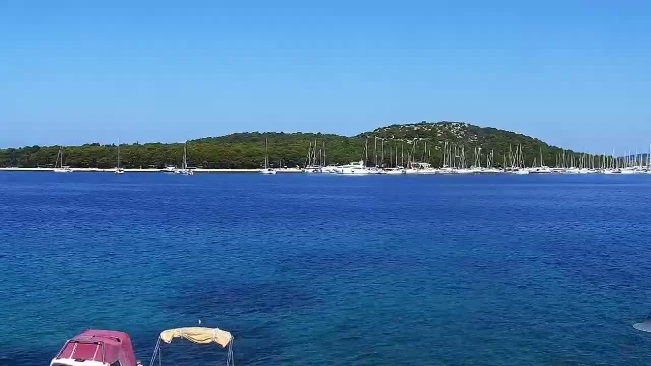 A calm, clear blue sea stretches toward a verdant island, where numerous sailboats are moored under a bright, sunny sky.