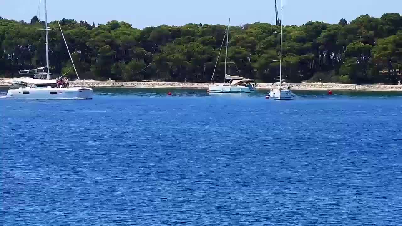 Three sailboats are anchored in calm, blue water near a shoreline of lush green trees on a sunny day.