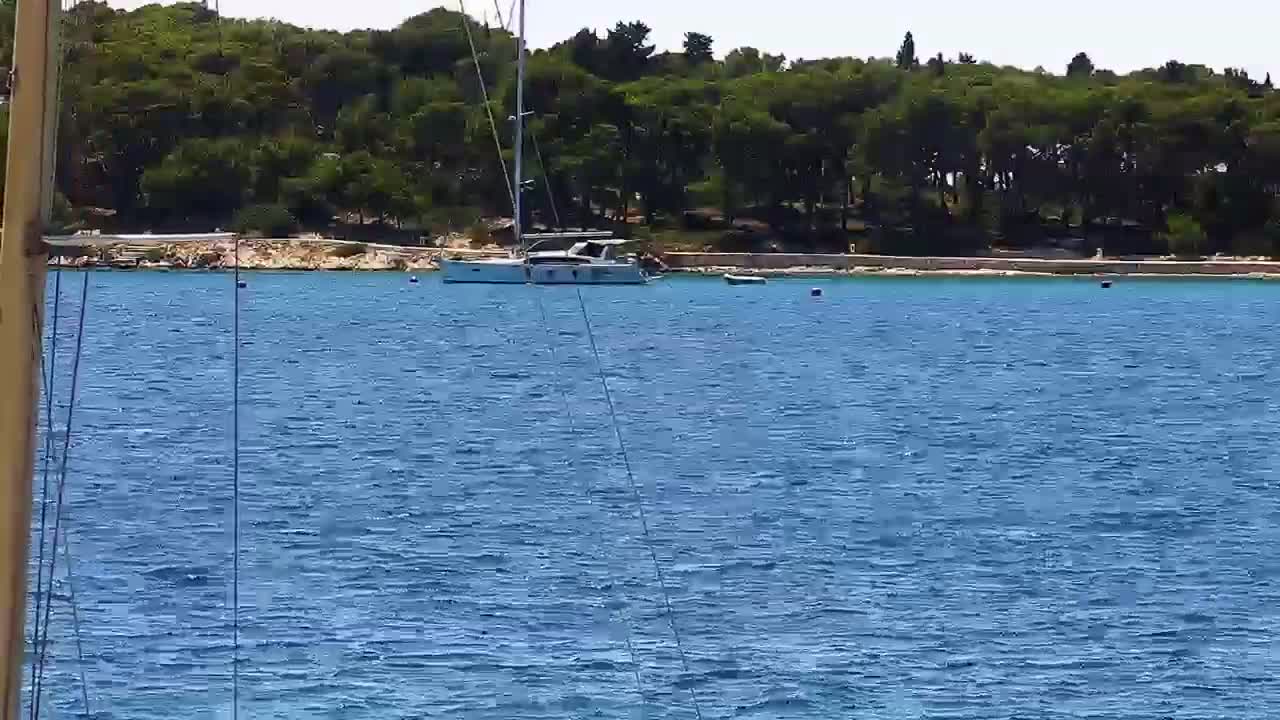 A sailboat is anchored in calm blue water near a shoreline of green trees.