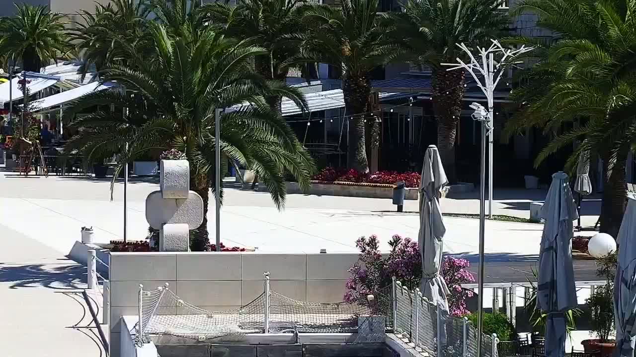 A sunny outdoor plaza with palm trees, outdoor seating areas, and several closed umbrellas.