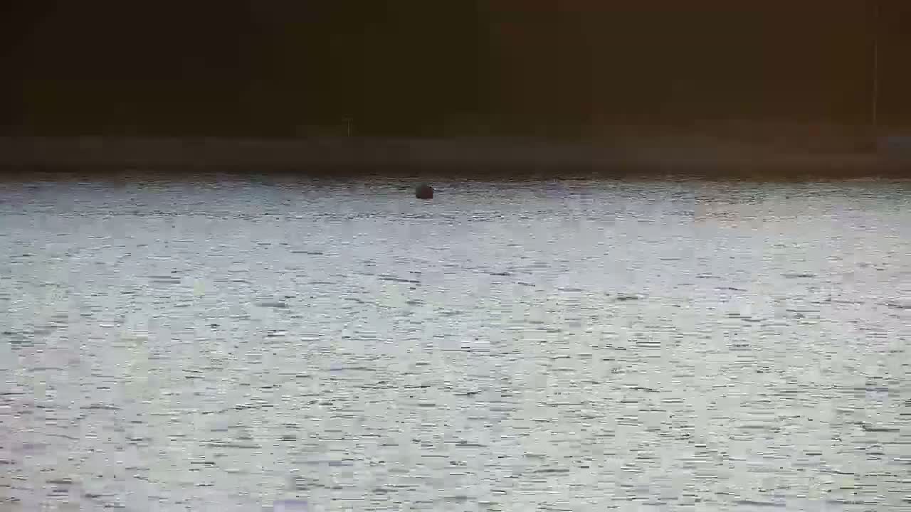 Rogoznica Village & Dalmatia Coast & Marine Live Cam - Ragoznica, Rogoznica Opcina, Šibenik-Knin, Croatia