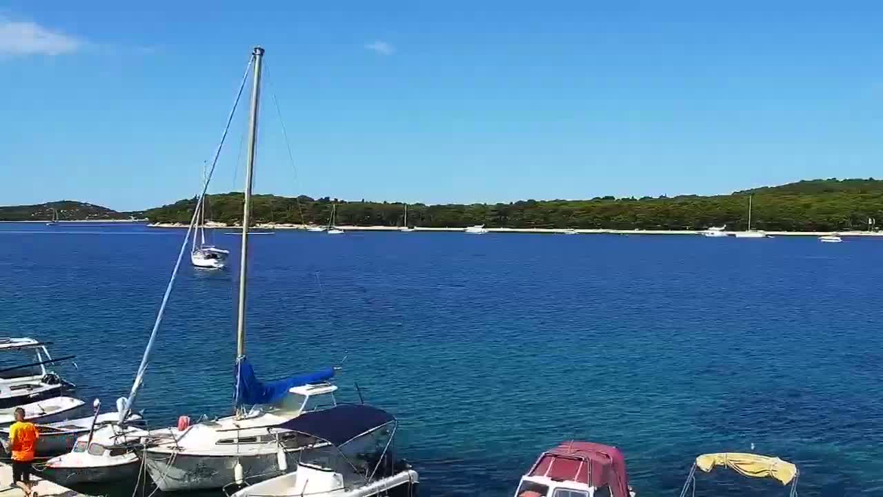 Several sailboats and motorboats are moored near a shoreline with lush green vegetation under a clear blue sky.