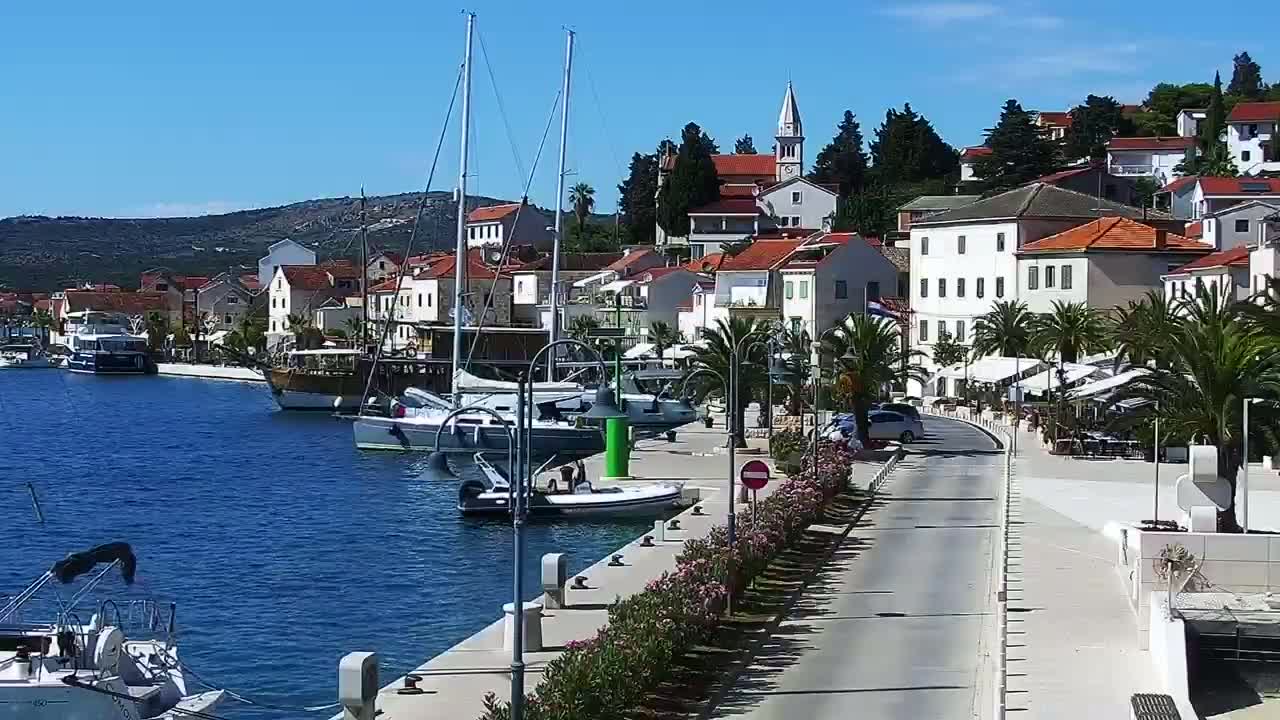 Several sailboats and motorboats are moored near a shoreline with lush green vegetation under a clear blue sky.