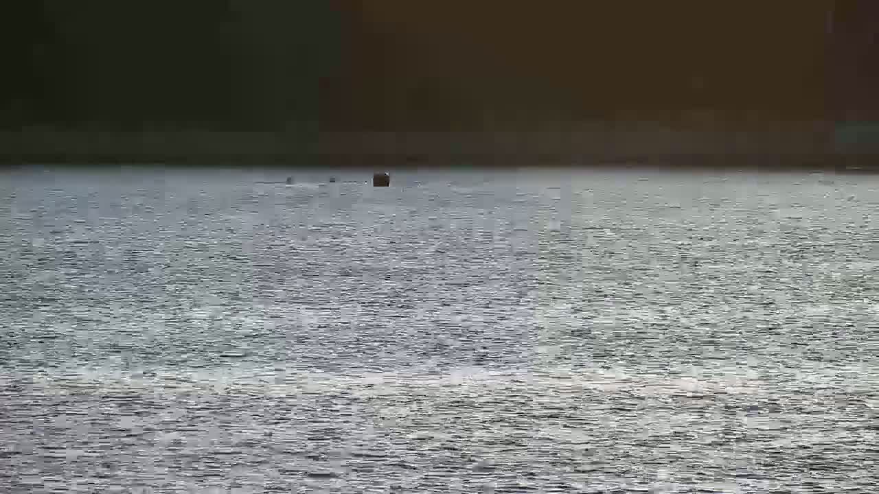 Rogoznica Village & Dalmatia Coast & Marine Live Cam - Ragoznica, Rogoznica Opcina, Šibenik-Knin, Croatia