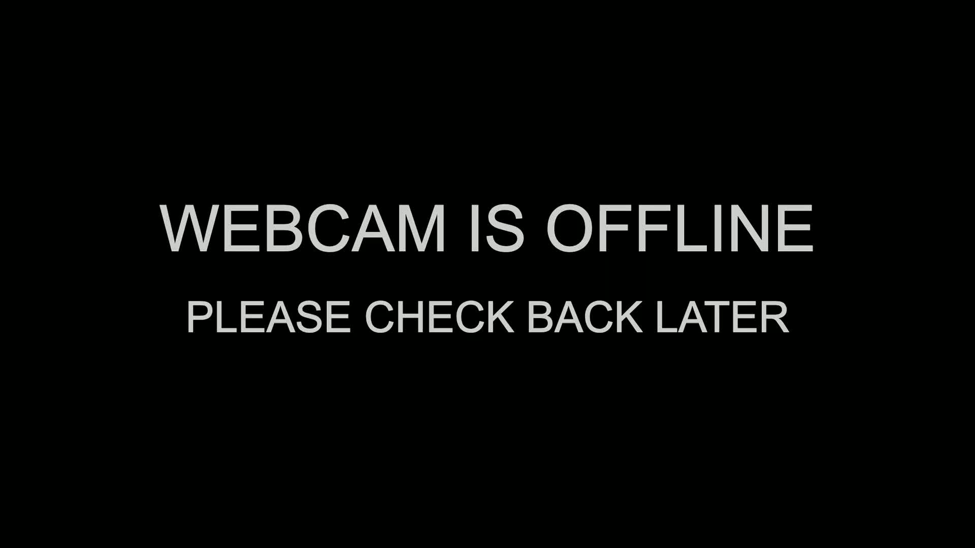A black screen displays a message indicating that the webcam is offline.