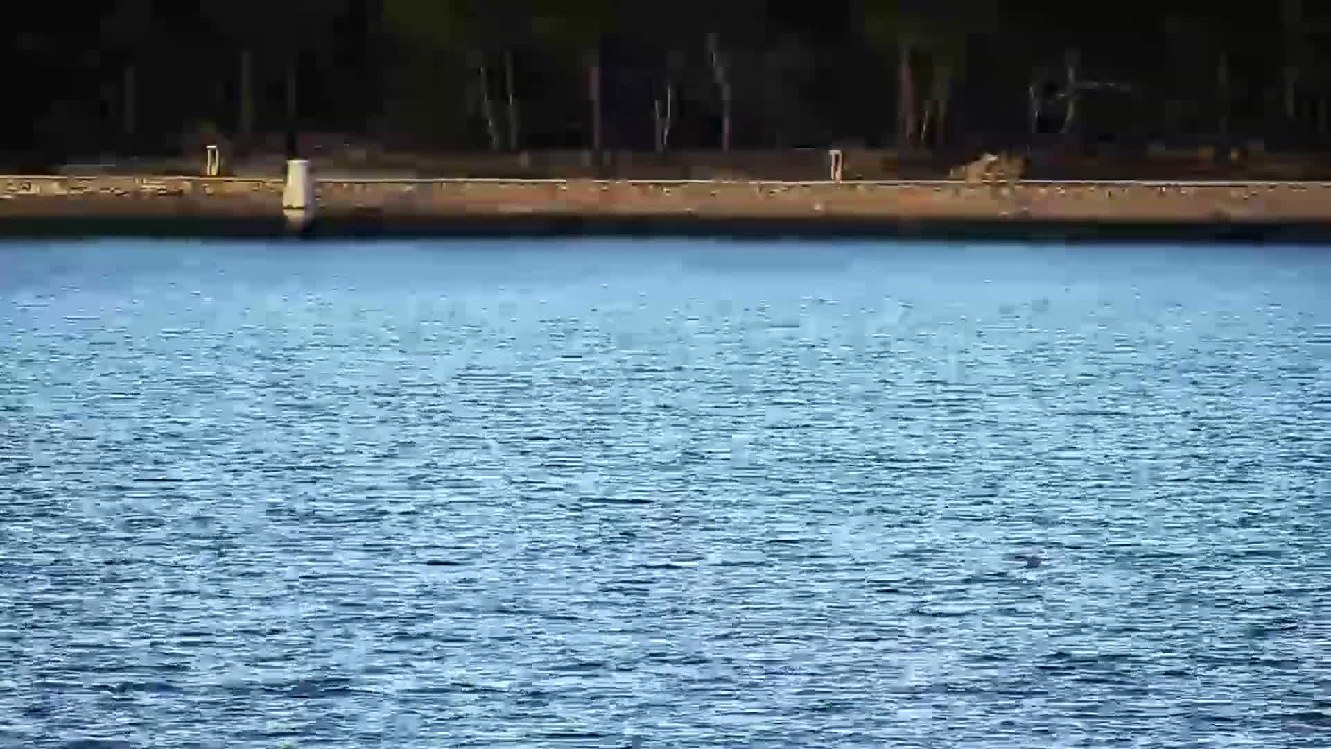 Rogoznica Village & Dalmatia Coast & Marine Live Cam - Ragoznica, Rogoznica Opcina, Šibenik-Knin, Croatia