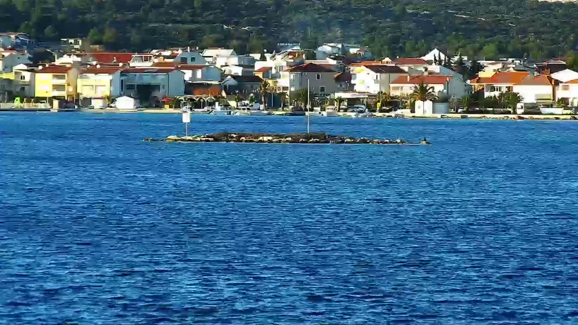 Rogoznica Village & Dalmatia Coast & Marine Live Cam - Ragoznica, Rogoznica Opcina, Šibenik-Knin, Croatia