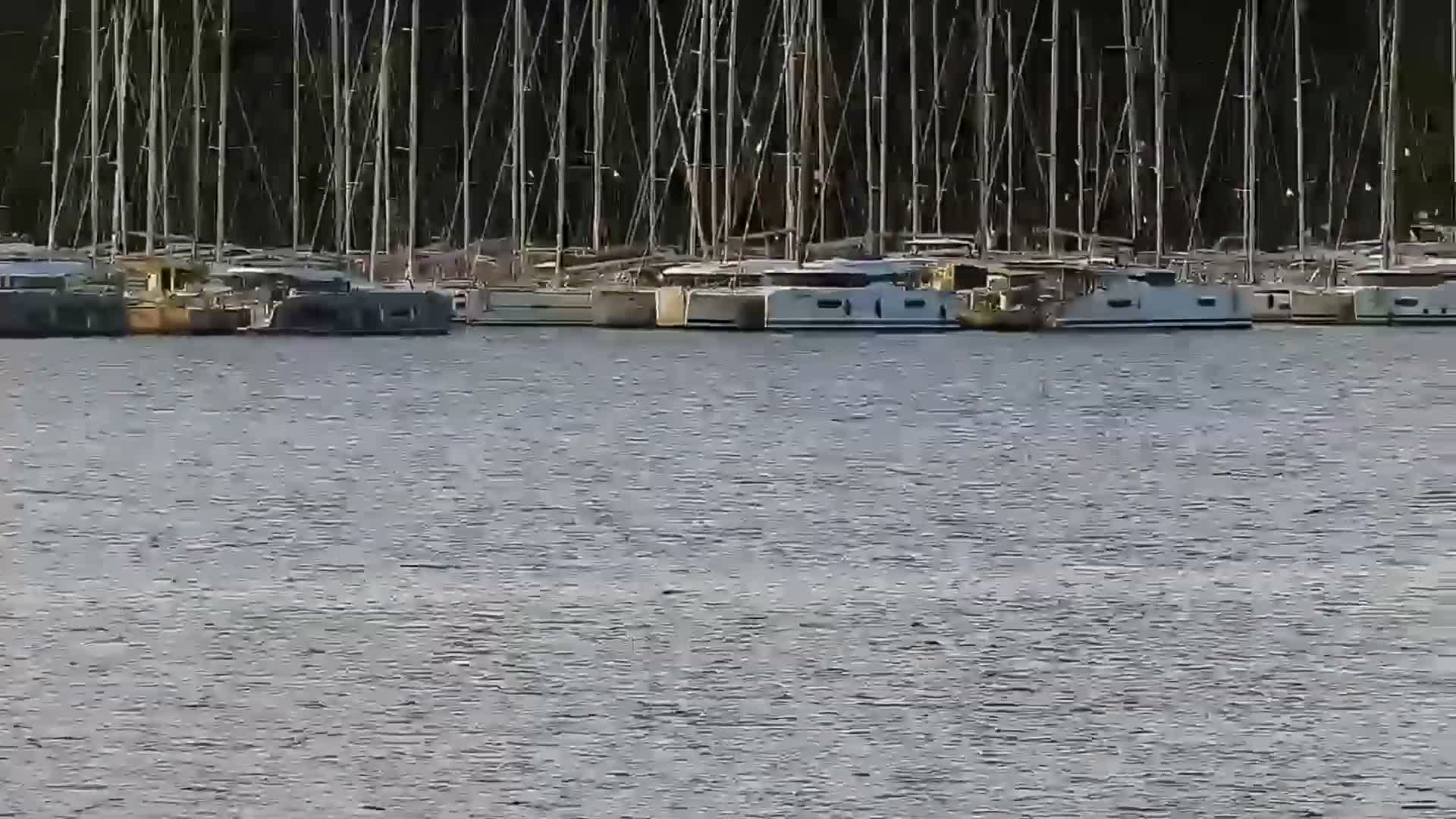 Rogoznica Village & Dalmatia Coast & Marine Live Cam - Ragoznica, Rogoznica Opcina, Šibenik-Knin, Croatia