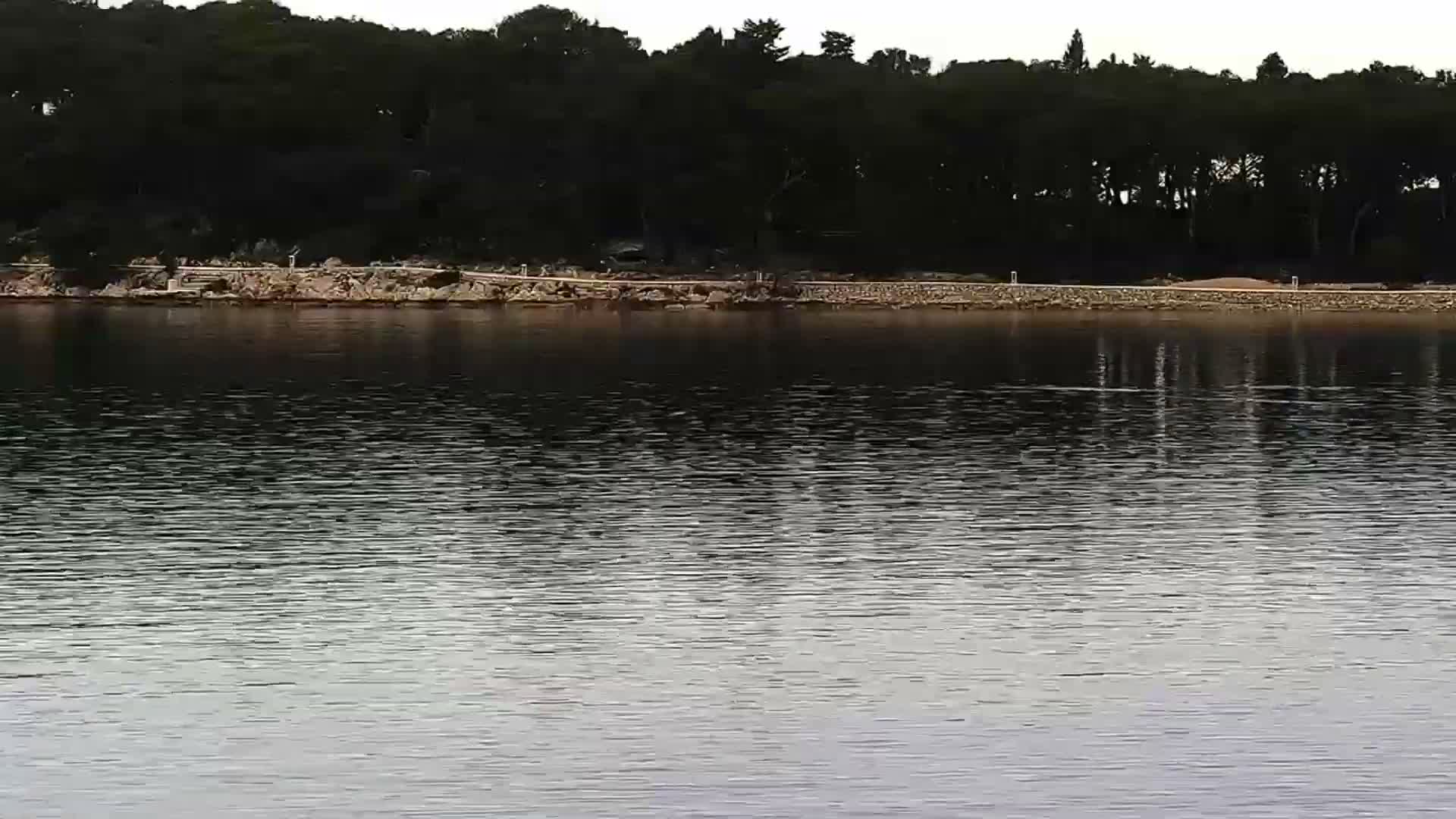 Rogoznica Village & Dalmatia Coast & Marine Live Cam - Ragoznica, Rogoznica Opcina, Šibenik-Knin, Croatia