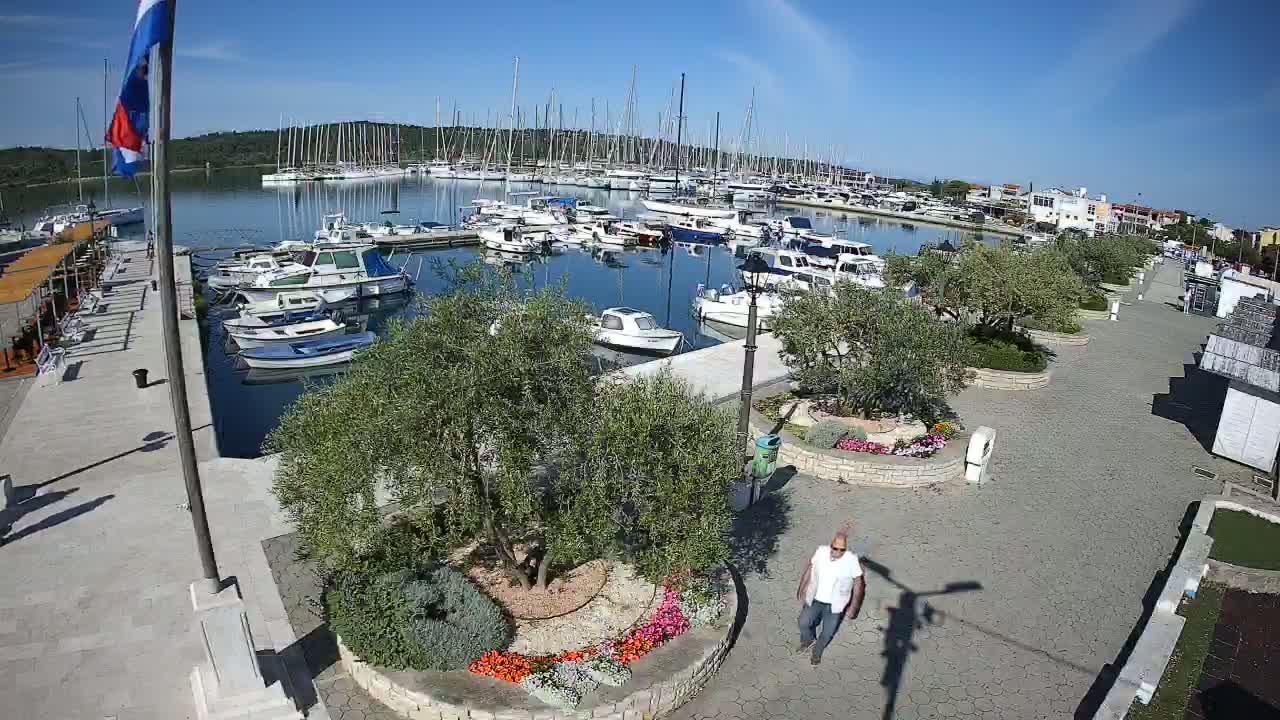 A sunny harbor scene shows numerous boats docked, a paved walkway lined with flowering plants and olive trees, and a man walking.