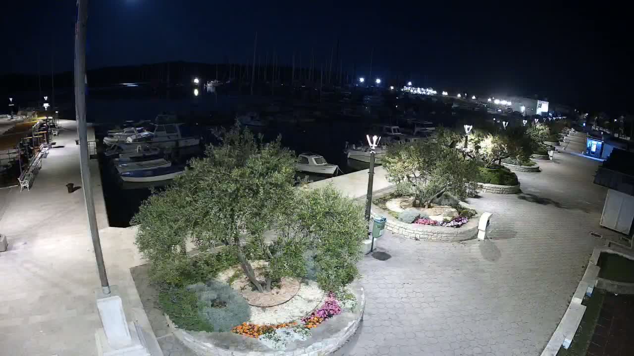 A nighttime view of a marina with numerous boats docked, illuminated by streetlights, and surrounded by a paved walkway lined with olive trees in landscaped circular planters.