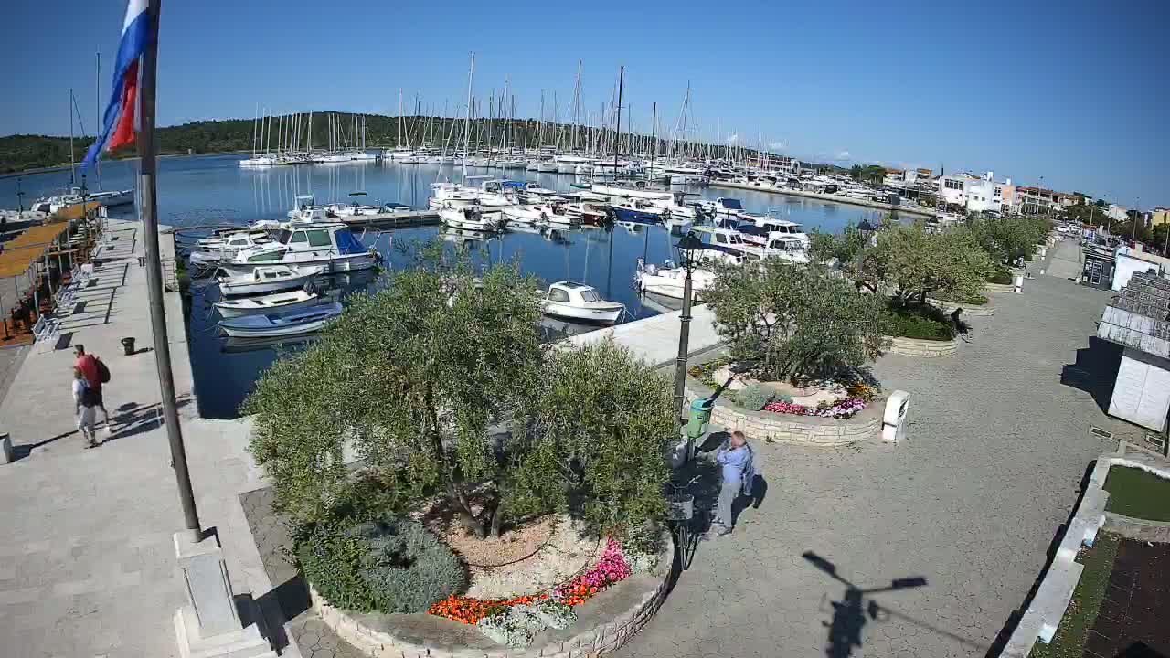 A marina filled with sailboats and motorboats on a sunny day, with a paved walkway lined with olive trees and flowerbeds.