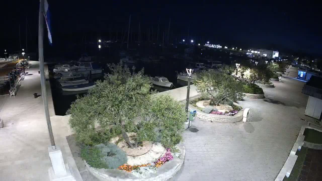 A nighttime view of a harbor filled with boats, bordered by a paved walkway lined with olive trees in landscaped circular gardens.