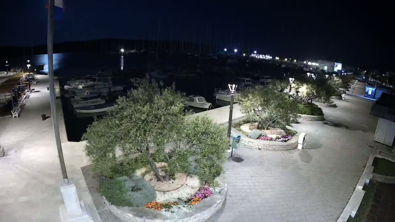 A nighttime view of a harbor marina with numerous boats docked, surrounded by a paved walkway lined with olive trees and flowerbeds.