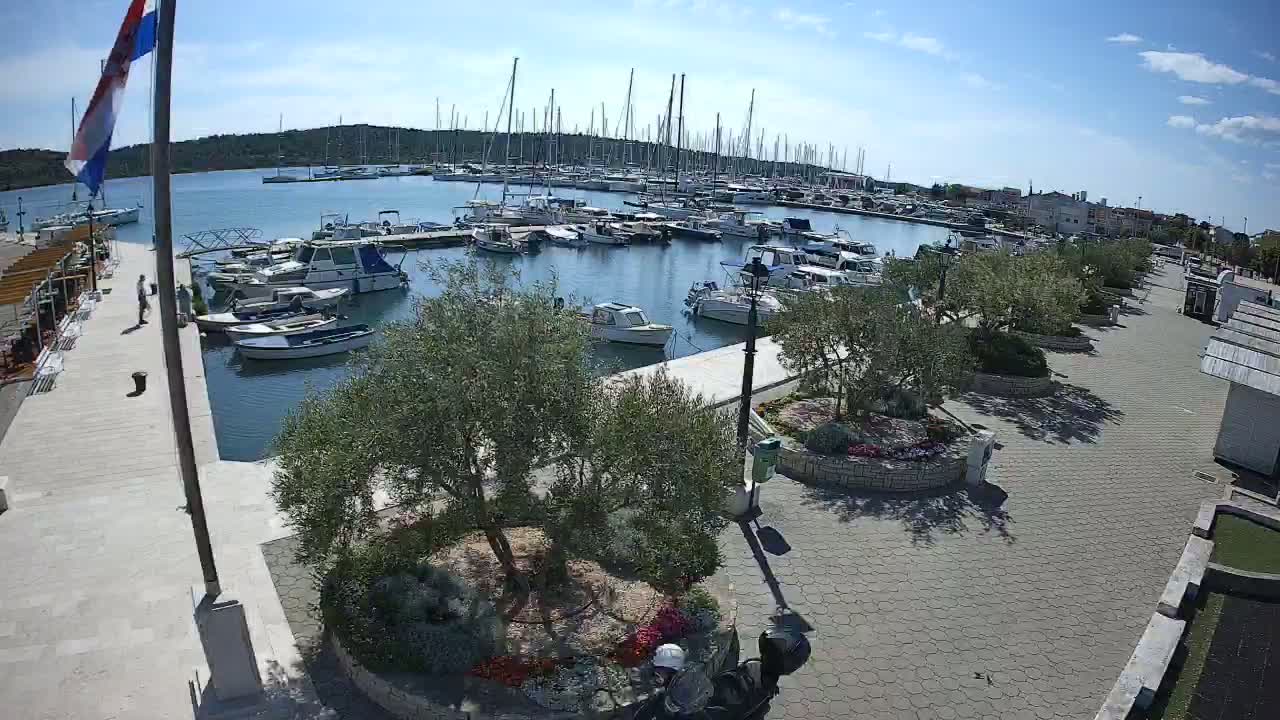 A marina filled with numerous boats and yachts on a sunny day, is bordered by a paved walkway lined with olive trees and flowerbeds.