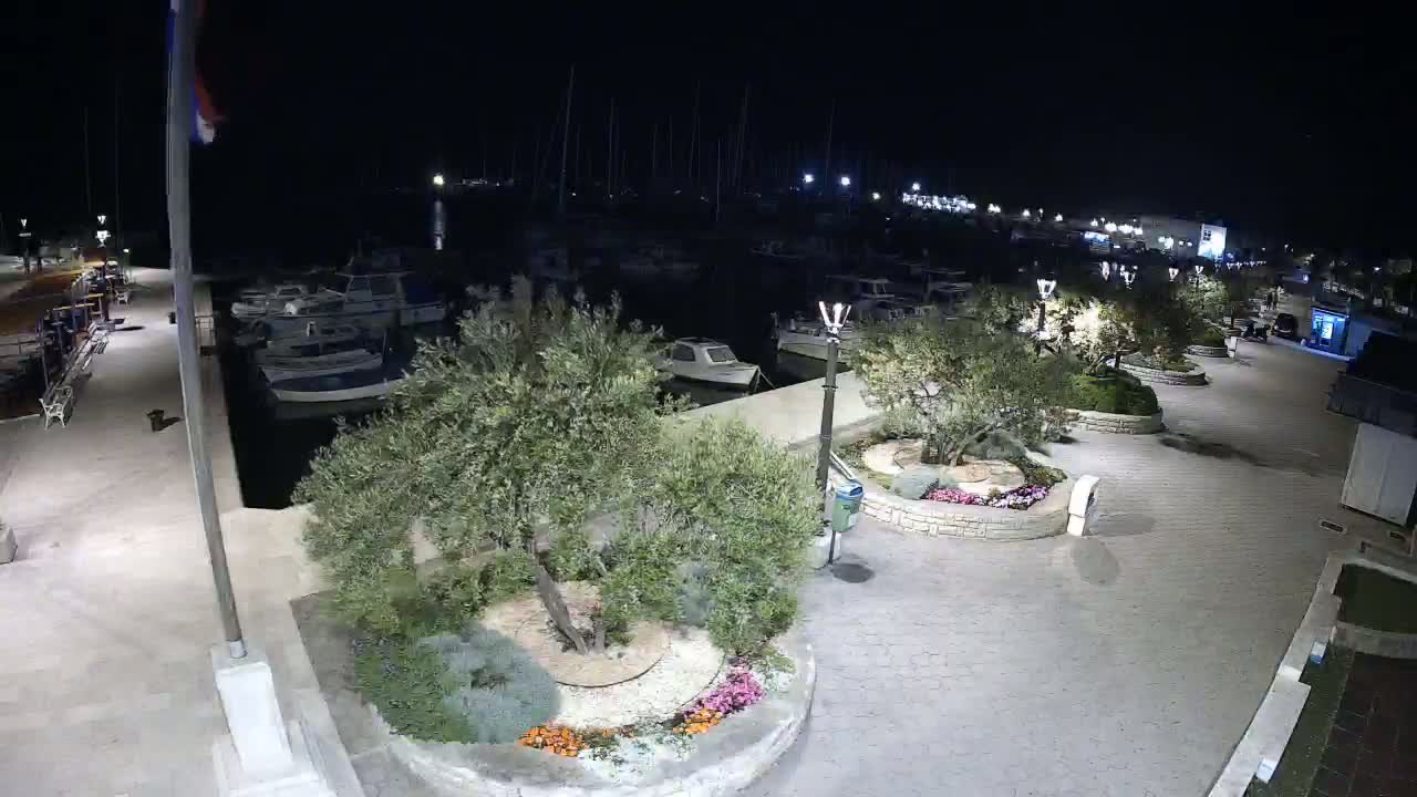 A nighttime, high-angle view shows a harbor filled with boats, a paved walkway lined with olive trees in landscaped circular gardens, and streetlights illuminating the scene.