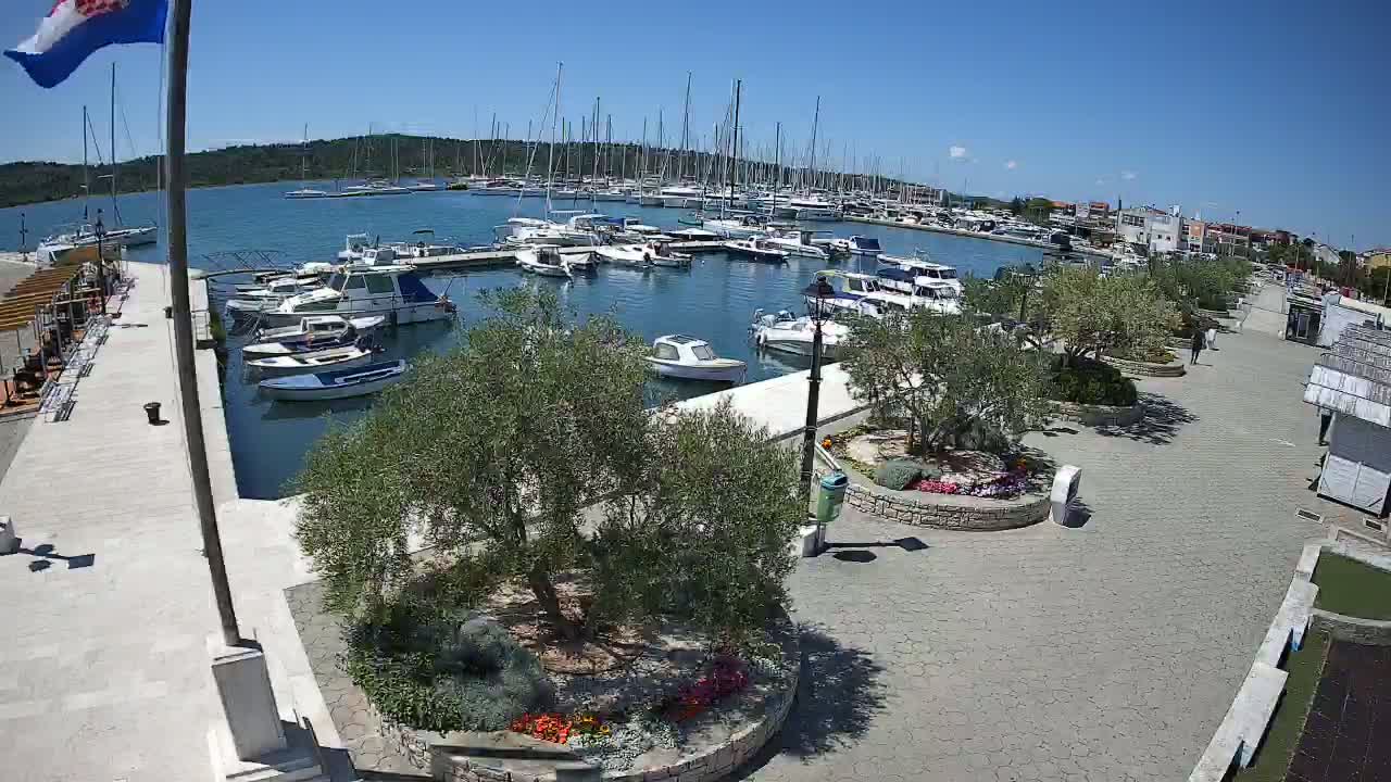 A marina filled with boats on a sunny day, next to a paved walkway with landscaped areas.