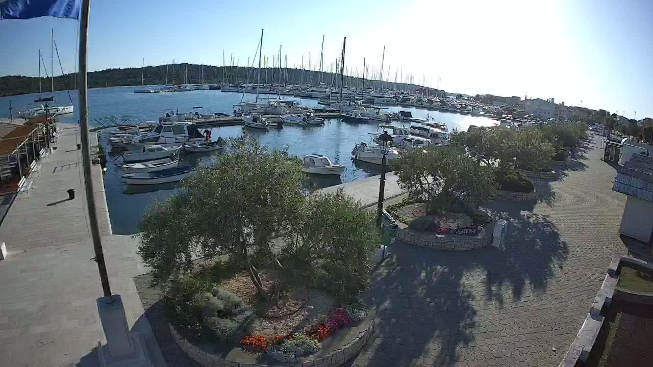 A marina filled with numerous boats on a sunny day, with a paved walkway and landscaping along the waterfront.