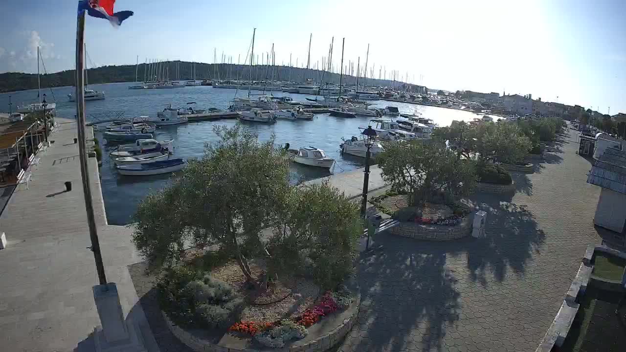 A sunny harbor scene shows numerous boats docked, with a paved walkway lined with olive trees and flowerbeds leading to the waterfront.